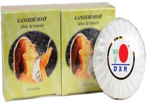 الفطر الريشي dxn